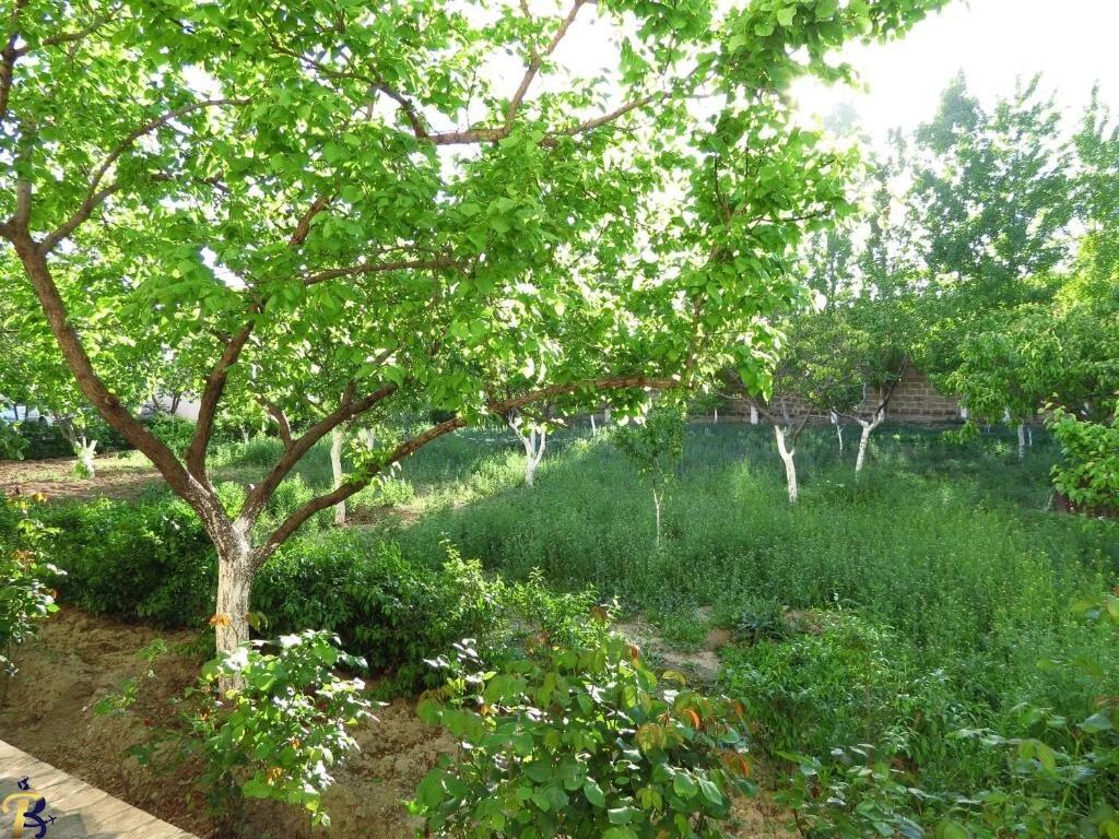 گالری تصاویر