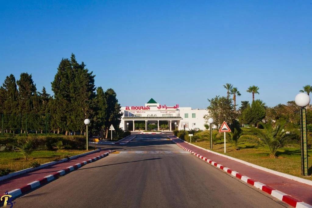 گالری تصاویر