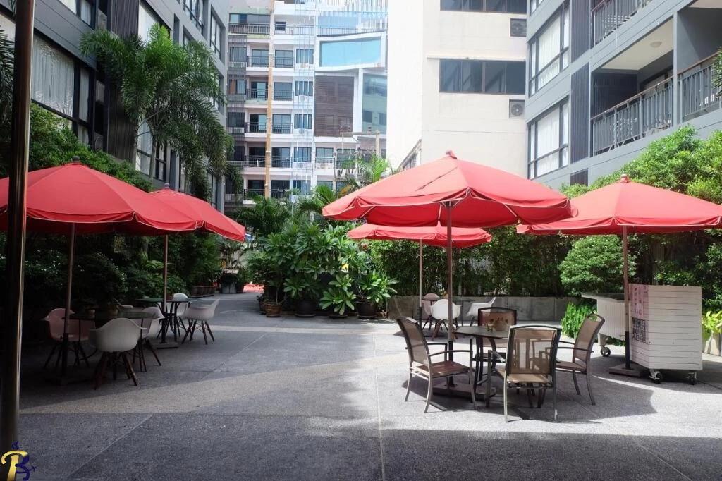 گالری تصاویر