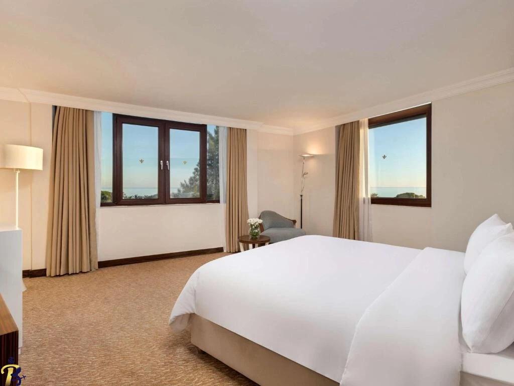 گالری تصاویر