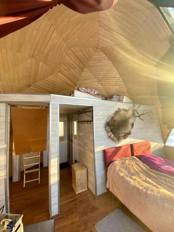 گالری تصاویر