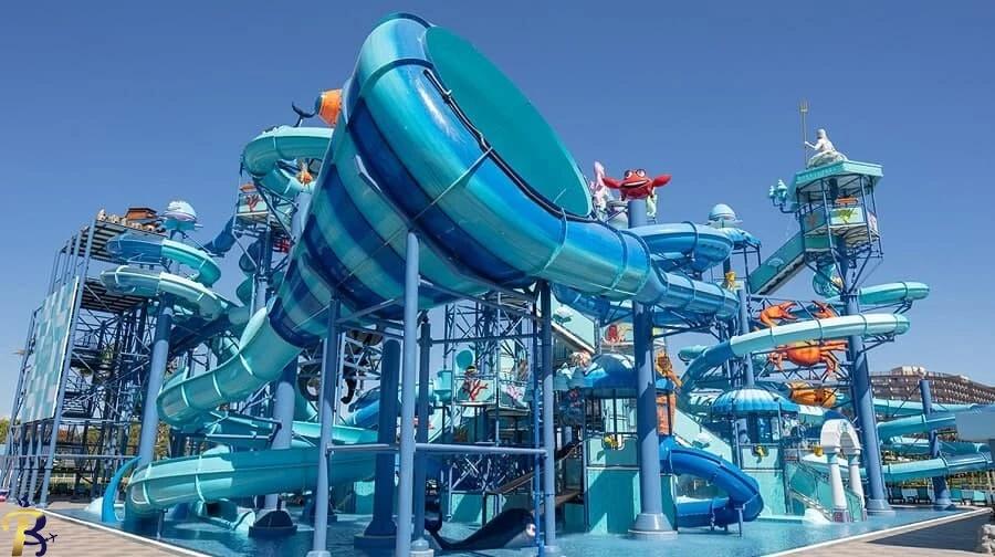 گالری تصاویر