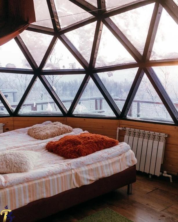 گالری تصاویر