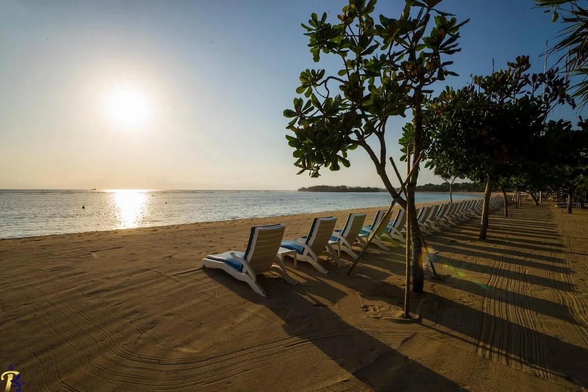 گالری تصاویر