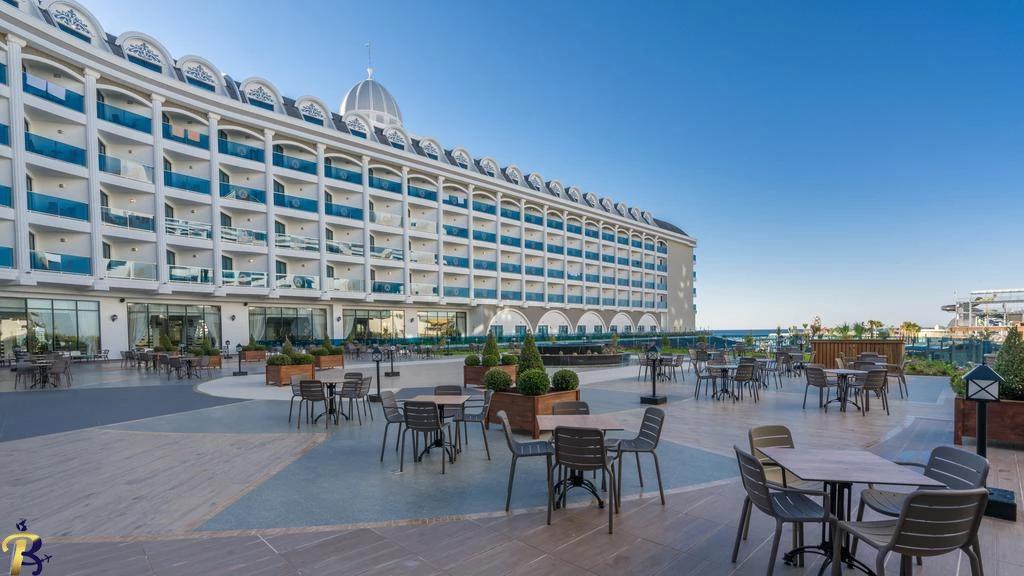 گالری تصاویر