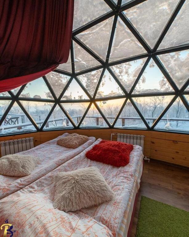 گالری تصاویر