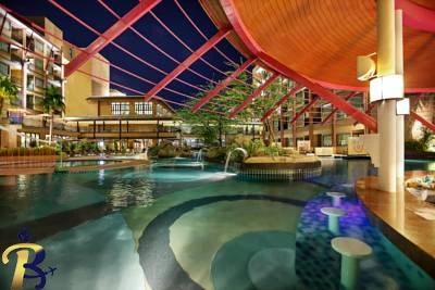 گالری تصاویر