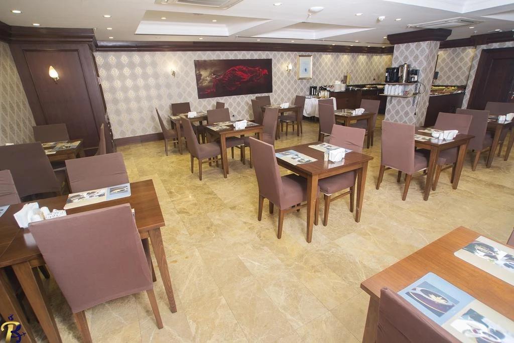 گالری تصاویر