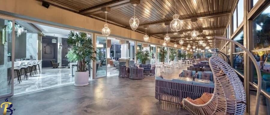 گالری تصاویر