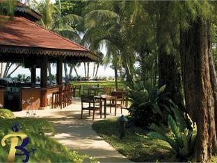 گالری تصاویر