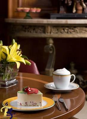 گالری تصاویر