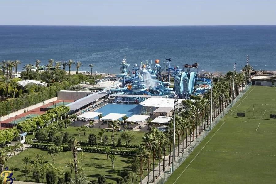 گالری تصاویر