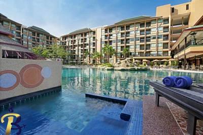 گالری تصاویر