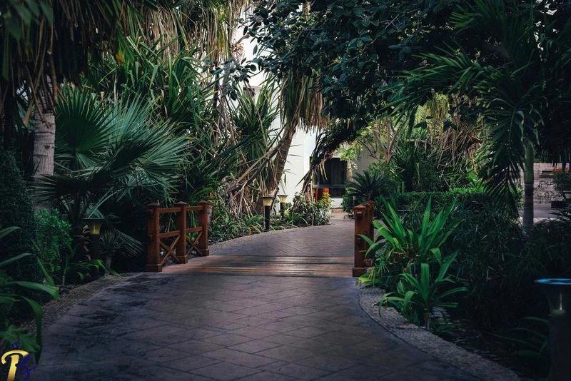 گالری تصاویر