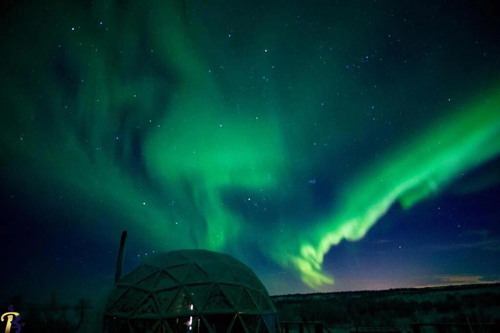 گالری تصاویر