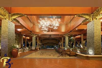 گالری تصاویر