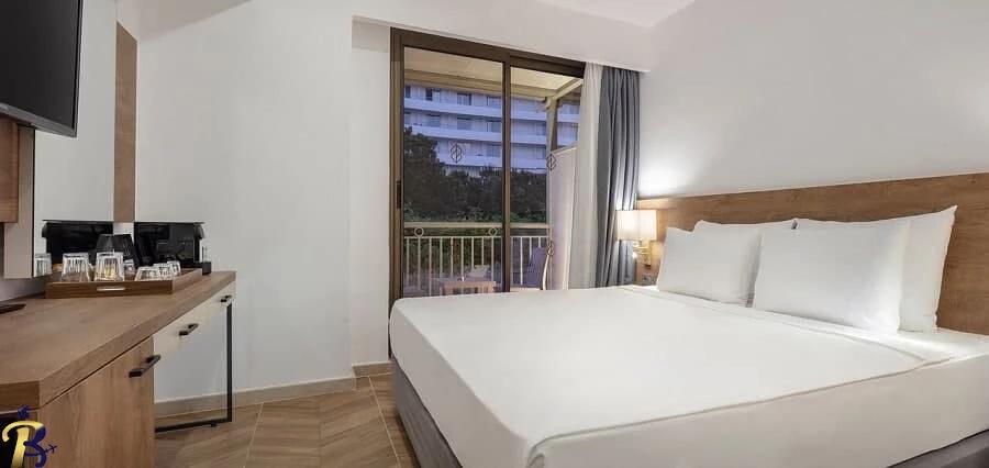 گالری تصاویر