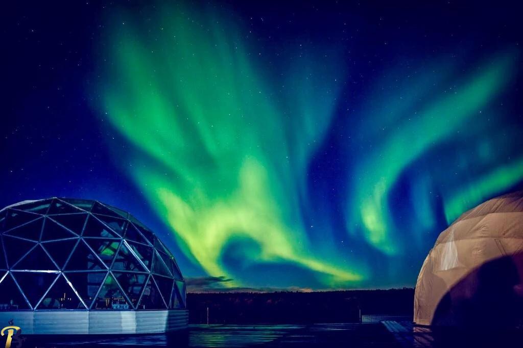 گالری تصاویر