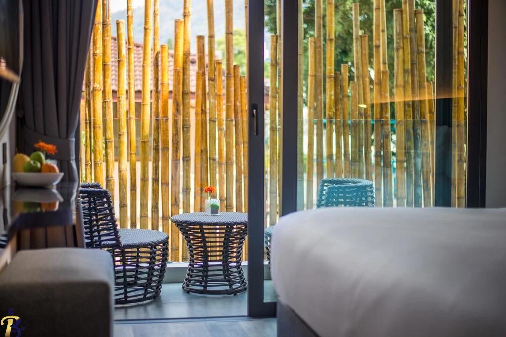 گالری تصاویر