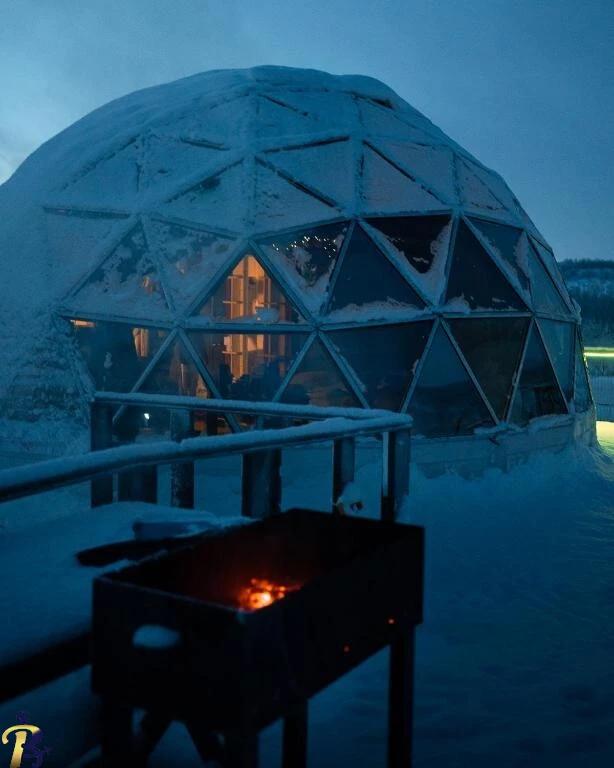 گالری تصاویر