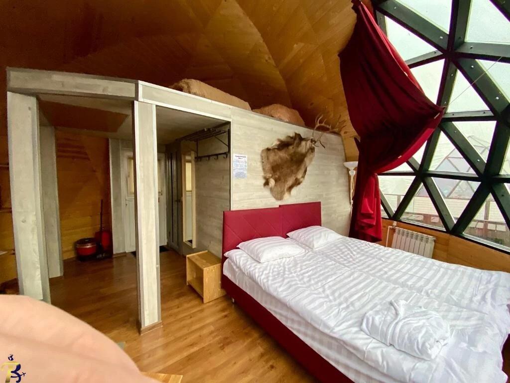 گالری تصاویر