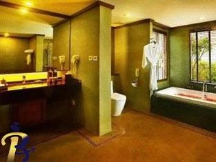 گالری تصاویر