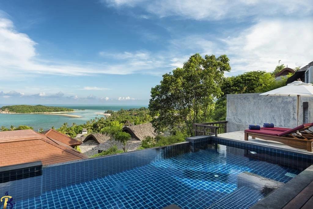 گالری تصاویر