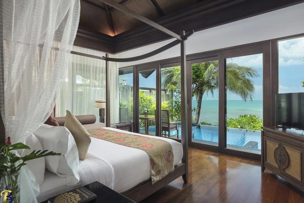 گالری تصاویر