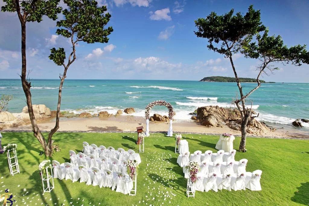 گالری تصاویر