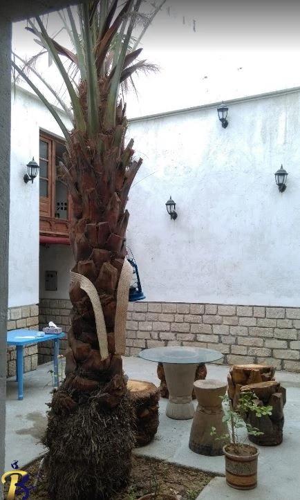 گالری تصاویر