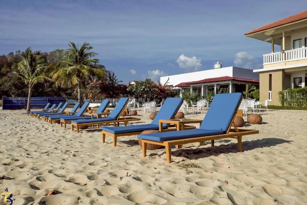 گالری تصاویر