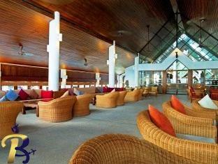 گالری تصاویر