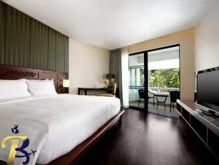 گالری تصاویر