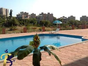 گالری تصاویر