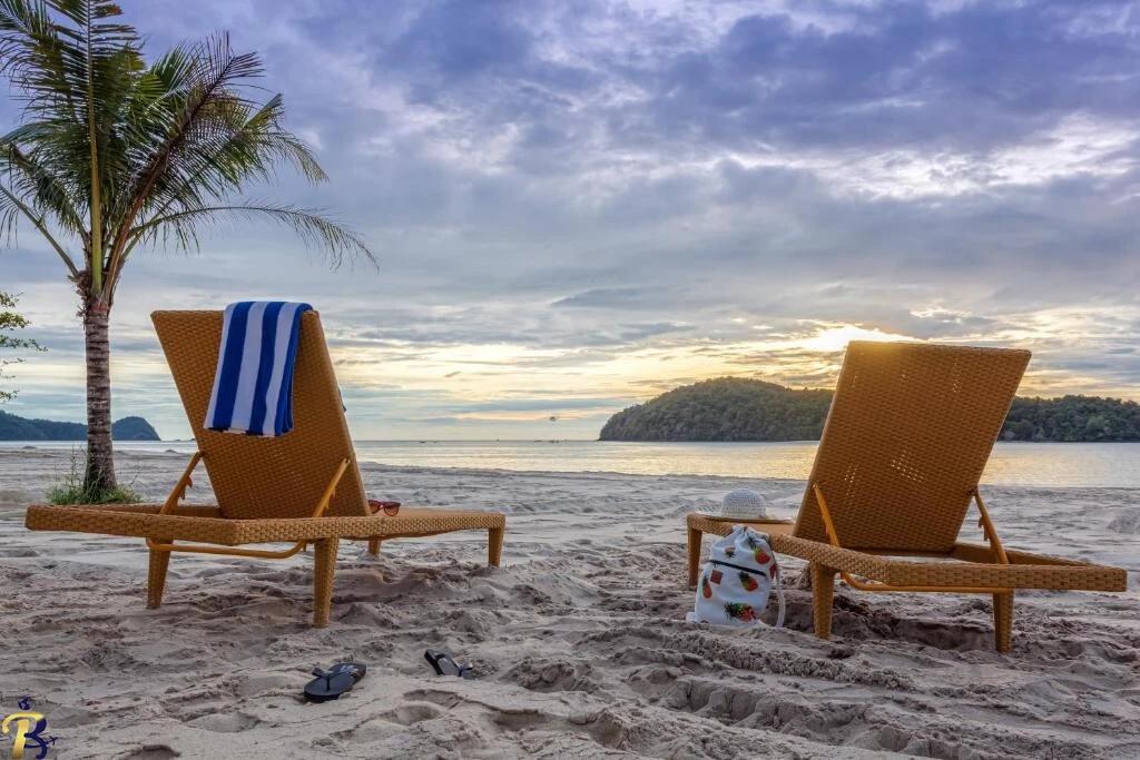 گالری تصاویر