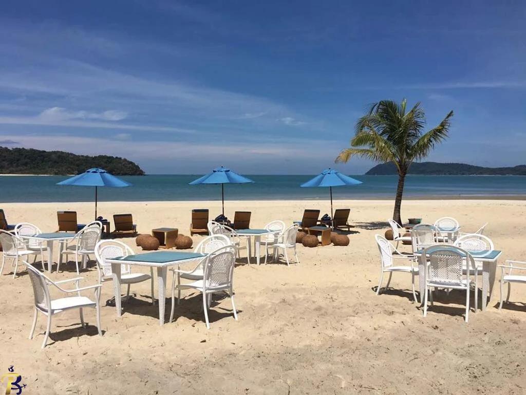 گالری تصاویر