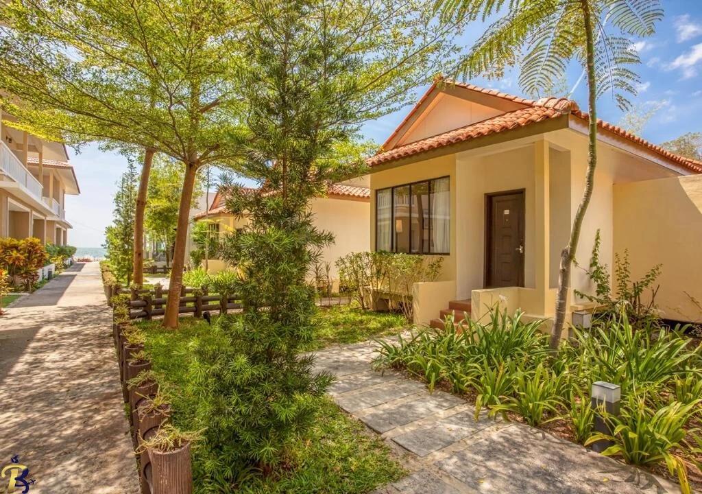 گالری تصاویر