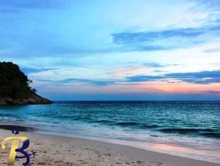 گالری تصاویر