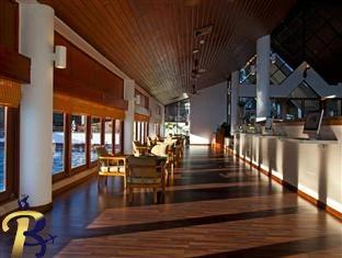 گالری تصاویر