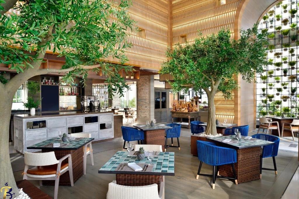 گالری تصاویر