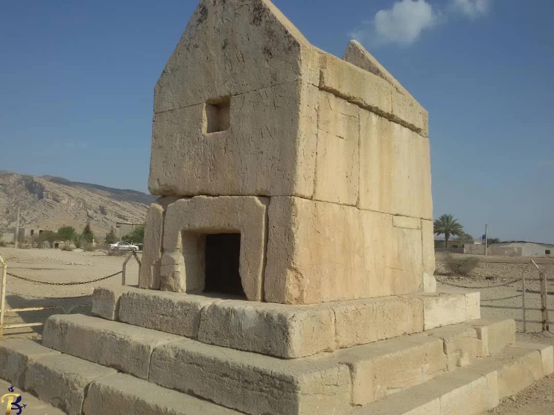 گالری تصاویر