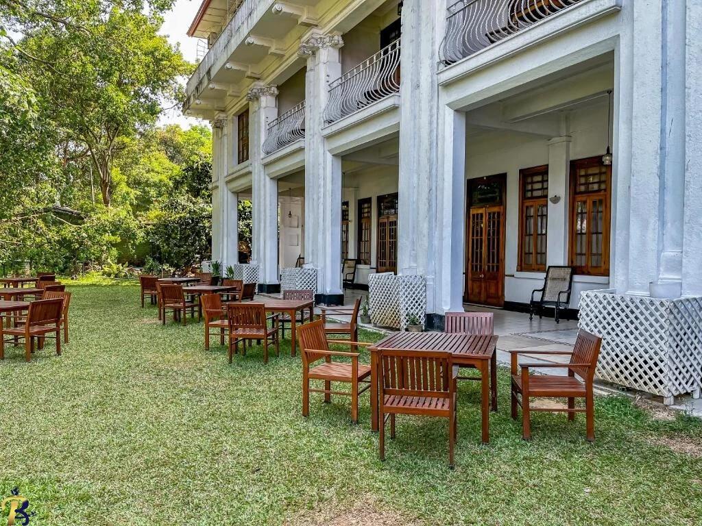 گالری تصاویر