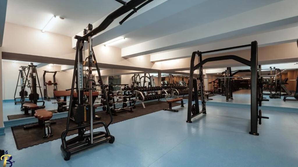 گالری تصاویر