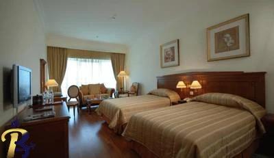 گالری تصاویر