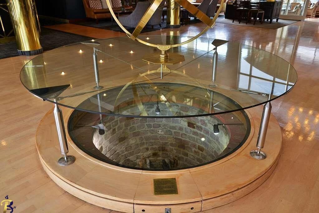 گالری تصاویر