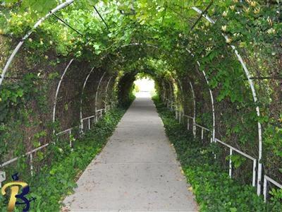 گالری تصاویر