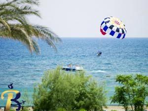 گالری تصاویر