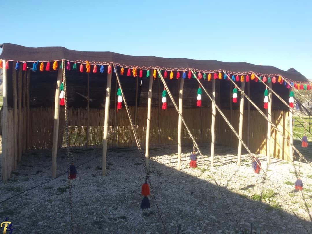 گالری تصاویر