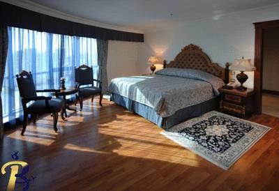 گالری تصاویر