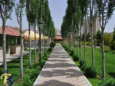 گالری تصاویر